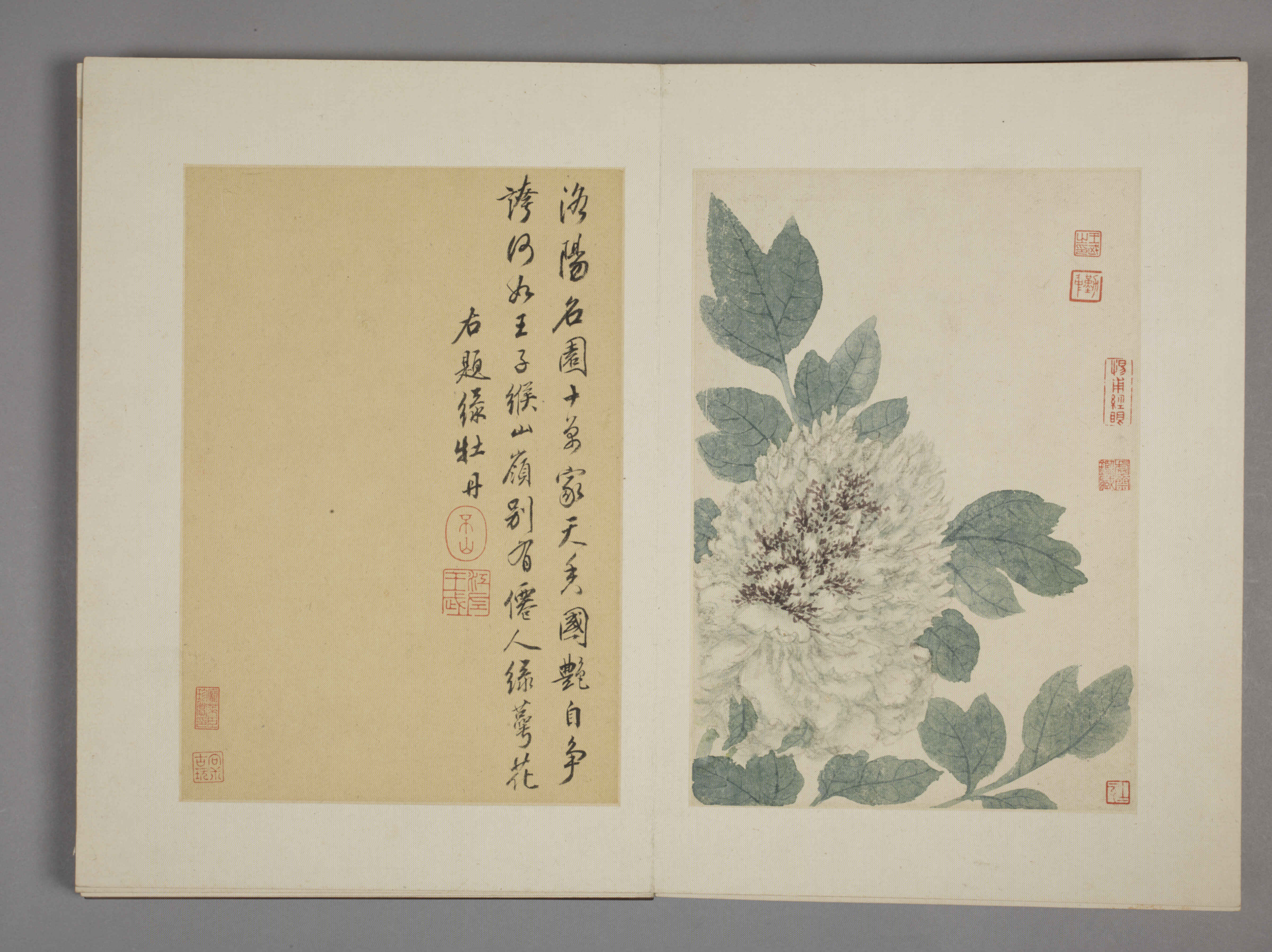 清·王武花卉册九开故宫博物院高清中国古画下载